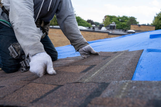 Best Green or Eco-Friendly Roofing Solutions  in Amery, WI