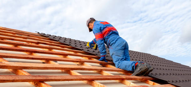 Best Roof Restoration  in Amery, WI